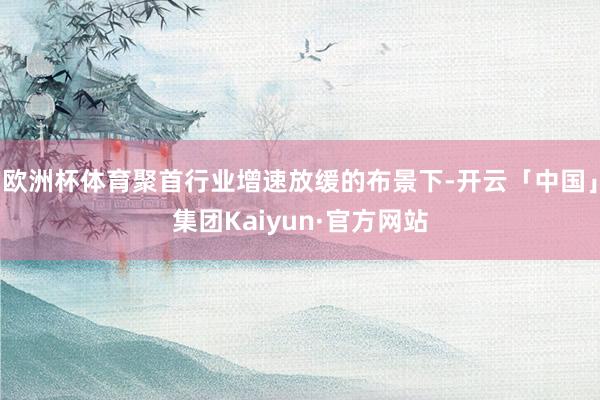 欧洲杯体育聚首行业增速放缓的布景下-开云「中国」集团Kaiyun·官方网站