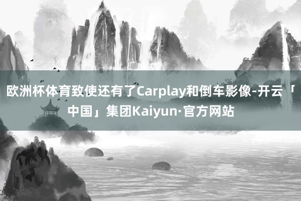 欧洲杯体育致使还有了Carplay和倒车影像-开云「中国」集团Kaiyun·官方网站