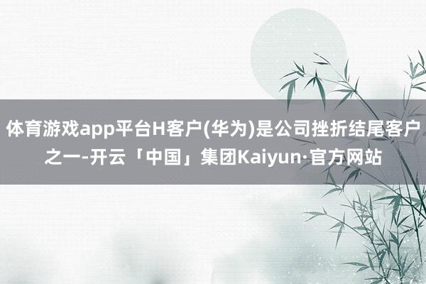 体育游戏app平台H客户(华为)是公司挫折结尾客户之一-开云「中国」集团Kaiyun·官方网站