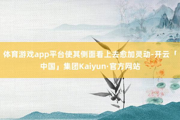 体育游戏app平台使其侧面看上去愈加灵动-开云「中国」集团Kaiyun·官方网站