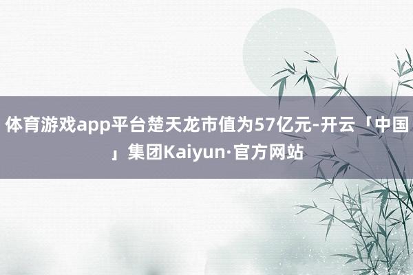 体育游戏app平台楚天龙市值为57亿元-开云「中国」集团Kaiyun·官方网站