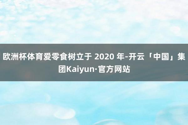 欧洲杯体育爱零食树立于 2020 年-开云「中国」集团Kaiyun·官方网站