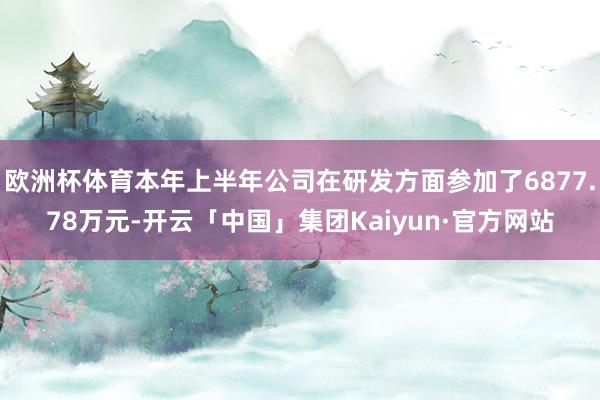 欧洲杯体育本年上半年公司在研发方面参加了6877.78万元-开云「中国」集团Kaiyun·官方网站