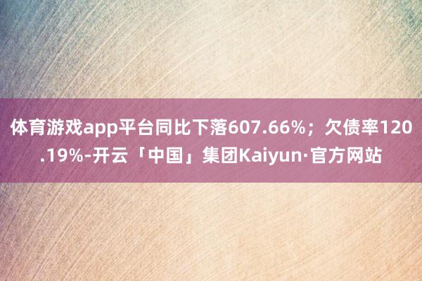 体育游戏app平台同比下落607.66%；欠债率120.19%-开云「中国」集团Kaiyun·官方网站