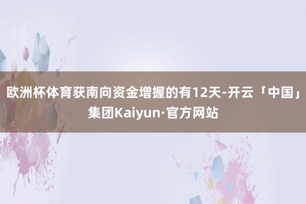 欧洲杯体育获南向资金增握的有12天-开云「中国」集团Kaiyun·官方网站