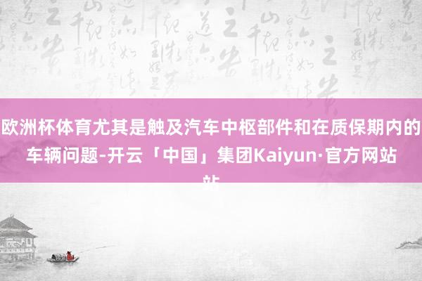 欧洲杯体育尤其是触及汽车中枢部件和在质保期内的车辆问题-开云「中国」集团Kaiyun·官方网站