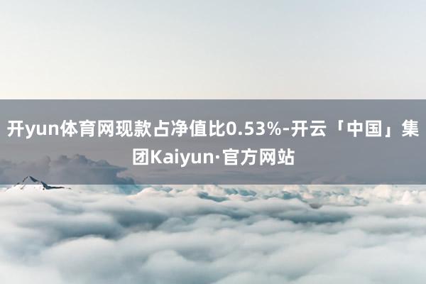 开yun体育网现款占净值比0.53%-开云「中国」集团Kaiyun·官方网站