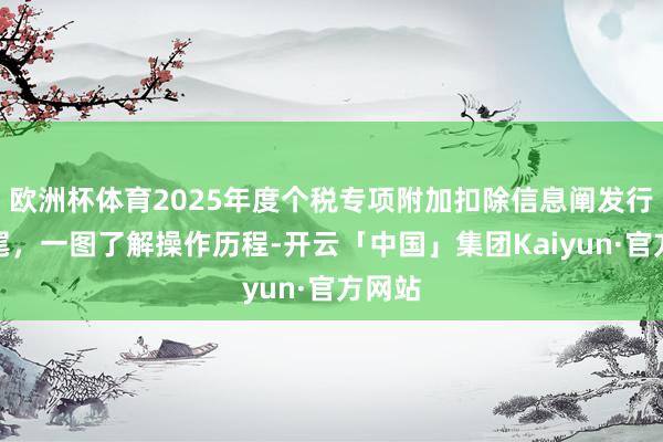 欧洲杯体育2025年度个税专项附加扣除信息阐发行将收尾，一图了解操作历程-开云「中国」集团Kaiyun·官方网站