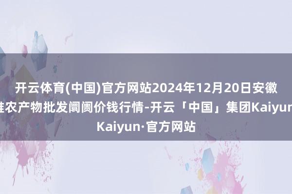 开云体育(中国)官方网站2024年12月20日安徽合肥周谷堆农产物批发阛阓价钱行情-开云「中国」集团Kaiyun·官方网站