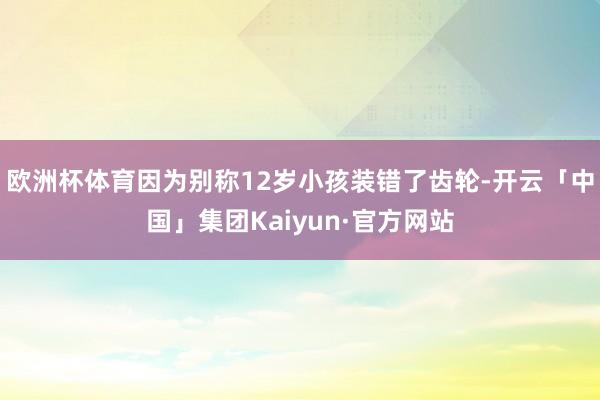 欧洲杯体育因为别称12岁小孩装错了齿轮-开云「中国」集团Kaiyun·官方网站