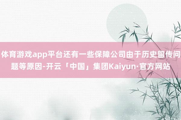 体育游戏app平台还有一些保障公司由于历史留传问题等原因-开云「中国」集团Kaiyun·官方网站