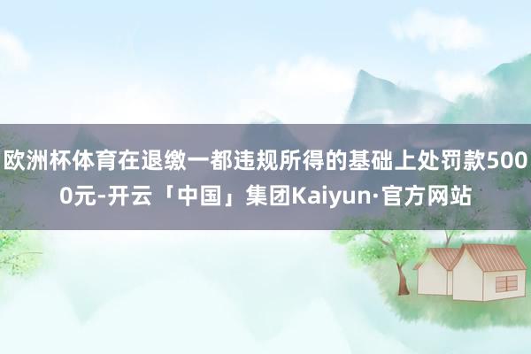 欧洲杯体育在退缴一都违规所得的基础上处罚款5000元-开云「中国」集团Kaiyun·官方网站